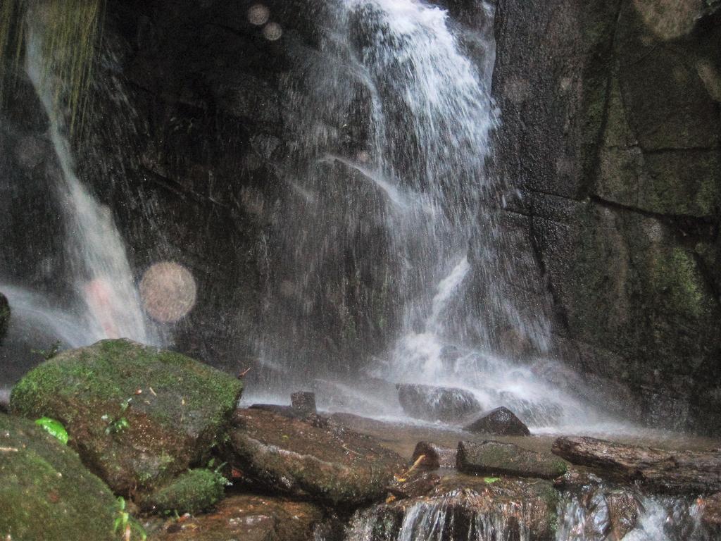 Pousada Recanto Dos Pinheiros Pilar do Sul Exterior foto