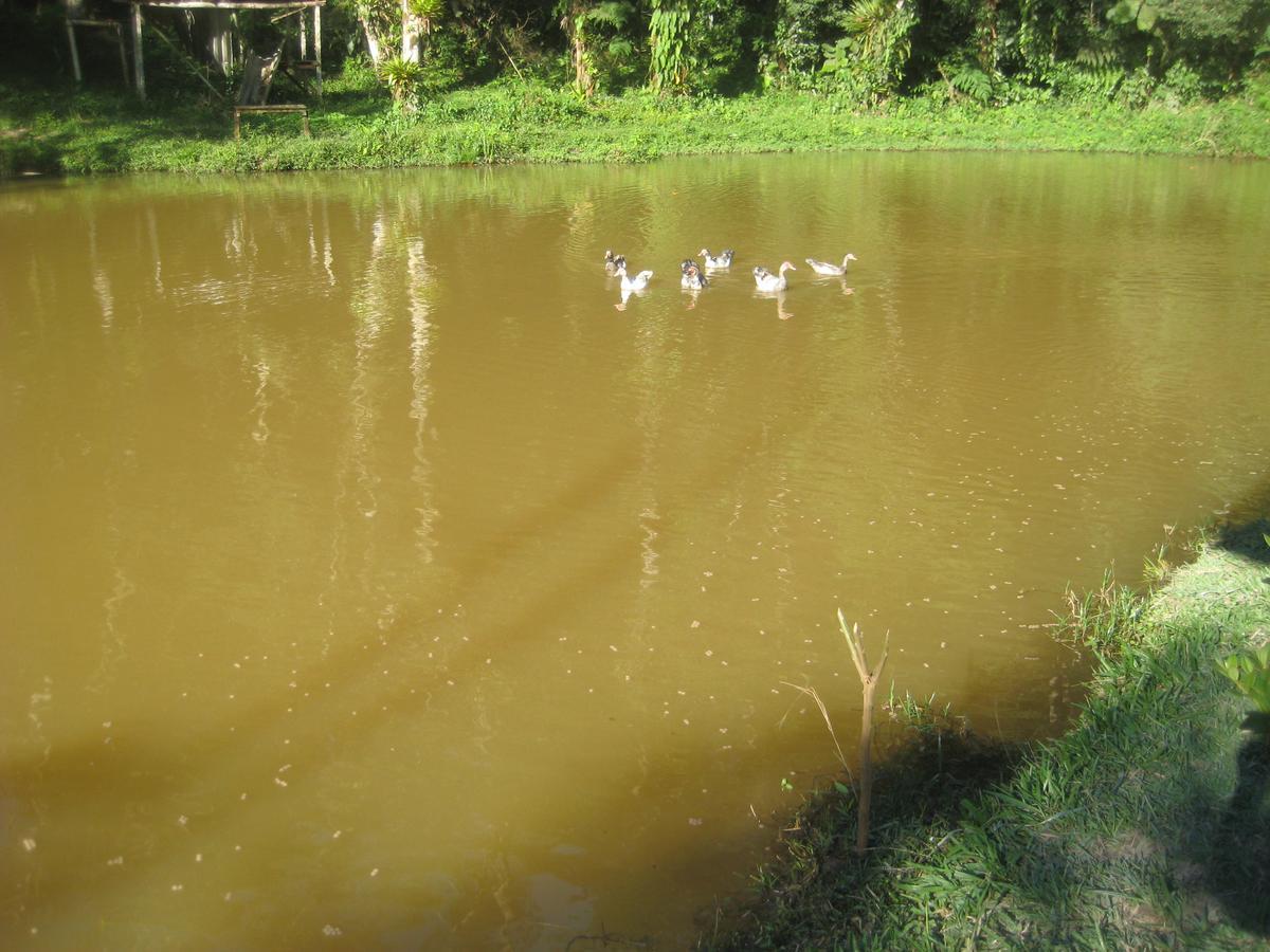 Pousada Recanto Dos Pinheiros Pilar do Sul Exterior foto