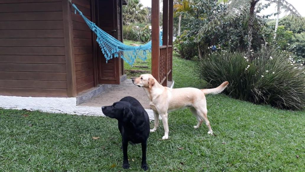 Pousada Recanto Dos Pinheiros Pilar do Sul Exterior foto